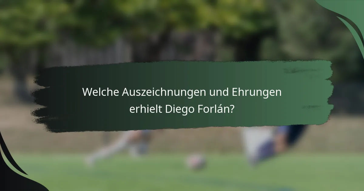 Welche Auszeichnungen und Ehrungen erhielt Diego Forlán?