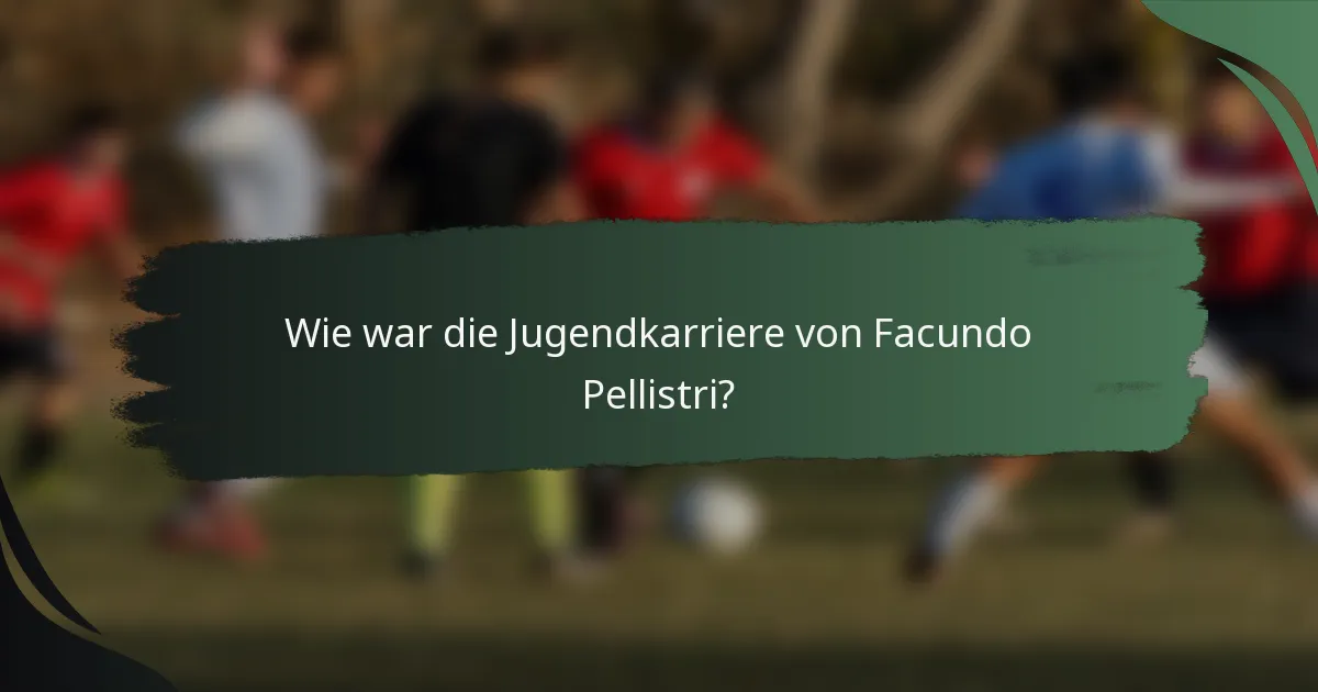 Wie war die Jugendkarriere von Facundo Pellistri?